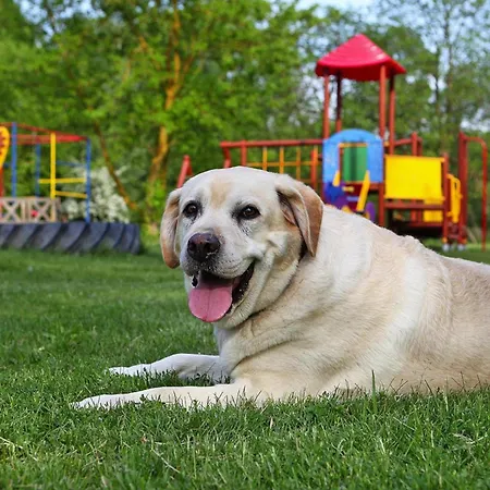 Ferienhaeuser Am Kummerower See,